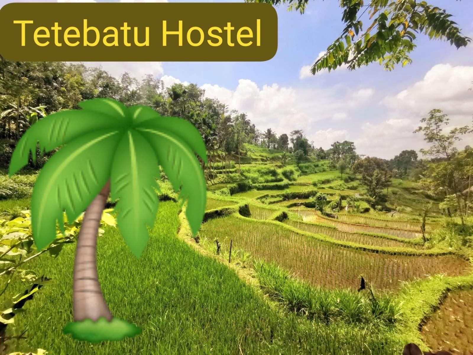 Tetebatu Hostel Esterno foto